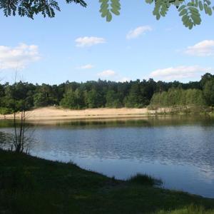 Sachsendorfer See